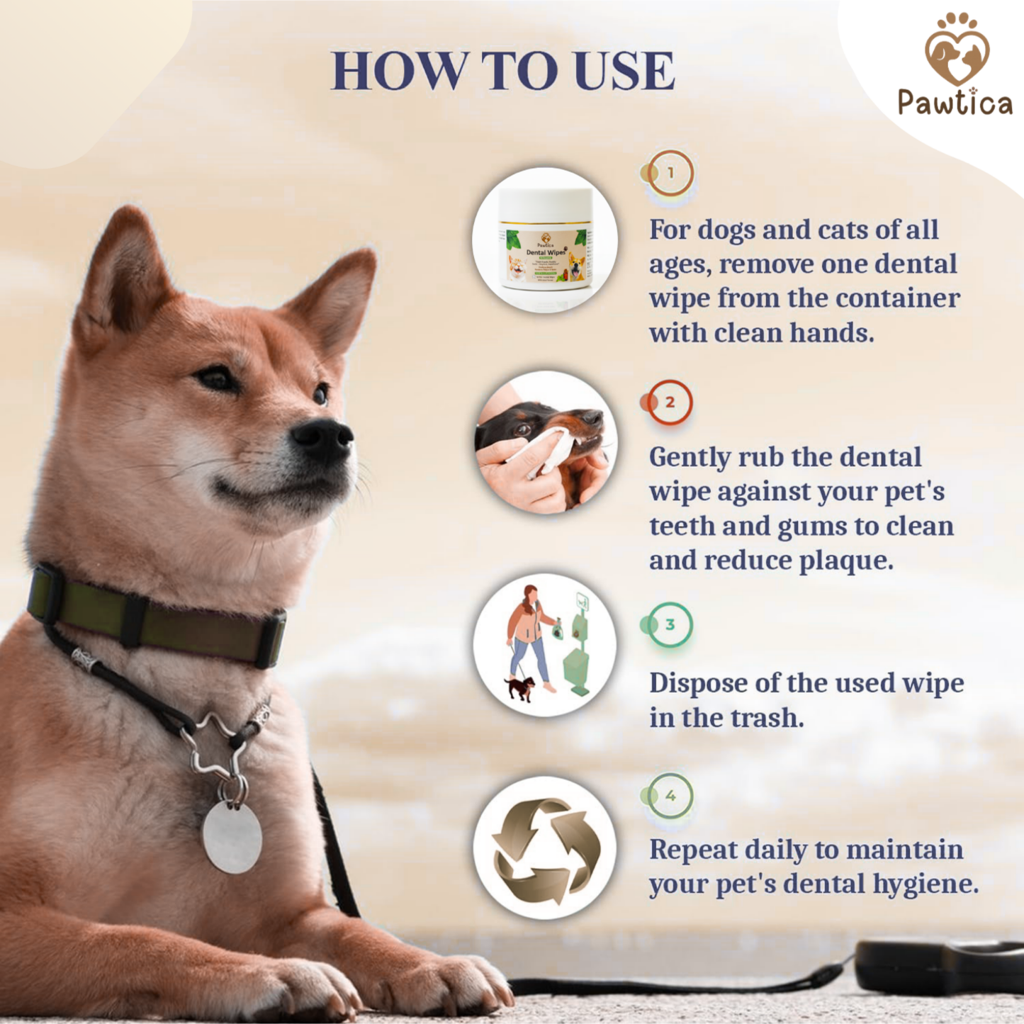 Pet Teeth Cleaning Wipes (Pack of 50) β No Brush, No Mess!