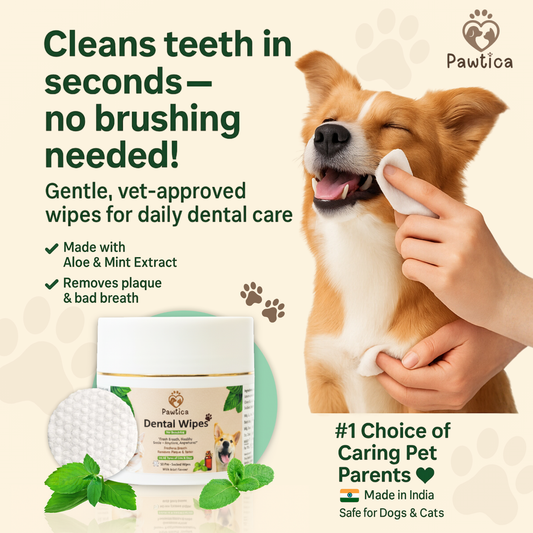 Pet Teeth Cleaning Wipes (Pack of 50) – No Brush, No Mess!